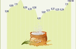 Xuất khẩu gạo đạt kỷ lục gần 8,3 triệu tấn