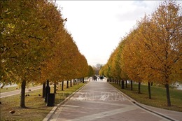 Cách chính quyền Moskva thu hút người dân đến công viên