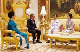 Nhà vua Thái Lan đánh giá cao quan hệ hợp tác hữu nghị với Việt Nam
