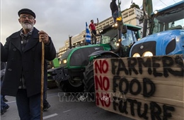 EU đương đầu với làn sóng biểu tình mới của nông dân
