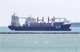Tác động của gián đoạn vận tải ở Biển Đỏ đến xuất khẩu nông sản
