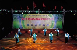 Khai mạc Ngày hội hoa Sơn tra năm 2024