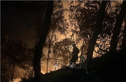Yên Bái: Kịp thời dập tắt đám cháy gần 3 ha rừng