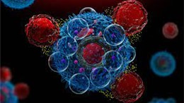 Ấn Độ ra mắt liệu pháp tế bào CAR-T bản địa đầu tiên để điều trị ung thư