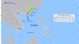Từ Quảng Ninh đến Hà Tĩnh chủ động ứng phó với diễn biến bão số 1