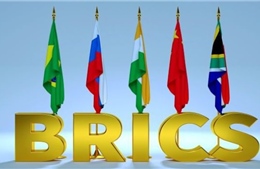 Đoàn đại biểu Đảng Cộng sản Việt Nam dự diễn đàn liên đảng quốc tế BRICS+