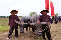 Độc đáo Lễ hội Mục đồng làng Phong Lệ