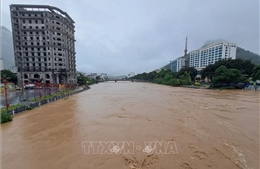 Hà Giang: Chủ động ứng phó với lũ trên sông Lô