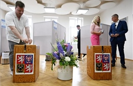 Bầu cử EP: Tỷ lệ cử tri CH Séc đi bỏ phiếu cao hơn kỳ vọng
