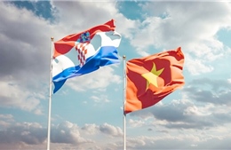 Thư mừng nhân 30 năm Ngày thiết lập quan hệ ngoại giao Việt Nam - Croatia