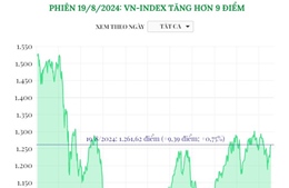 Phiên 19/8/2024: VN-Index tăng hơn 9 điểm