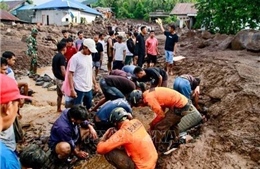 Chín người thương vong do lũ quét và sạt lở đất ở Indonesia