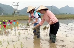 Du lịch Ninh Bình hút khách nhờ đa dạng loại hình trải nghiệm