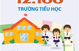 Năm học 2023 - 2024: Cả nước có 12.166 trường tiểu học