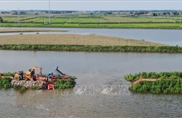 Trung Quốc: Lũ lụt do mưa lớn dẫn đến vỡ đê tại tỉnh Liêu Ninh