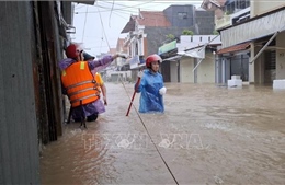 Nhìn lại năm 2024: Dự báo, cảnh báo góp phần giảm nhẹ rủi ro thiên tai