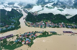 Đảm bảo an toàn đê điều: Không chủ quan, lơ là khi lũ rút