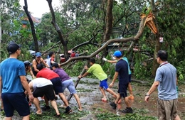 Người dân đoàn kết sớm trở lại nhịp sống thường ngày