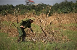 Giảm gánh nặng cho doanh nghiệp trong giai đoạn nước rút