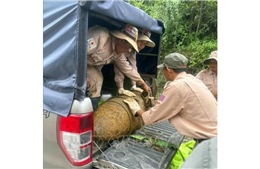 Xử lý an toàn quả bom nặng 350 kg sót lại sau chiến tranh