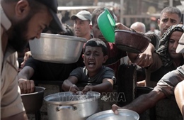 Mỹ, Anh, Pháp, Đức ra tuyên bố chung kêu gọi chấm dứt chiến sự ở Gaza