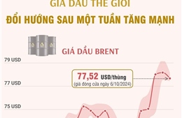 Giá dầu thế giới đổi hướng sau một tuần tăng mạnh