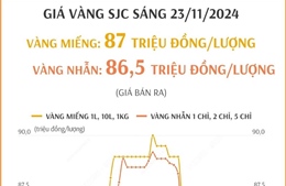 Giá vàng SJC sáng 23/11/2024