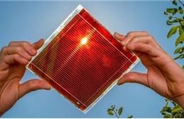 Bước đột phá lớn trong công nghệ pin Mặt Trời Perovskite