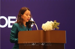 Việt Nam hoàn thành xuất sắc vai trò đồng Chủ tịch Chương trình Đông Nam Á của OECD 