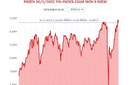 Phiên 30/5/2025: VN-Index giảm hơn 9 điểm