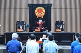 Cựu Thứ trưởng Bộ Tài nguyên và Môi trường cùng 26 bị cáo hầu tòa trong vụ đất hiếm