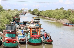 Tổ hợp tác khai thác hải sản giúp ngư dân tăng thu nhập