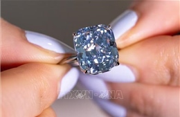 Đấu giá viên kim cương xanh quý hiếm từ Nam Phi