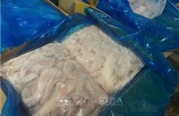 Ngăn chặn hơn 7 tấn nội tạng động vật không rõ nguồn gốc &#39;tuồn&#39; ra thị trường
