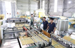 Ngành nhựa chuyển đổi xanh - Bài cuối: Giải pháp phù hợp với khả năng người Việt