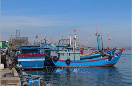 Phạt 5 chủ tàu vi phạm quy định giám sát hành trình khai thác thủy sản
