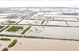 Đẩy mạnh giải phóng mặt bằng để phát triển Khu kinh tế ven biển tỉnh Thái Bình