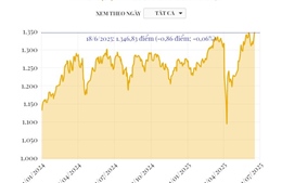 Phiên 18/6/2025: VN-Index giảm nhẹ