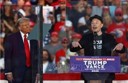 Thị trường toàn cầu biến động vì căng thẳng giữa Tổng thống Mỹ và tỷ phú Elon Musk