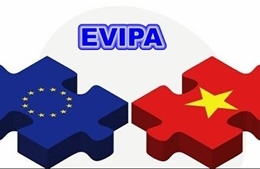 Đức thúc đẩy phê chuẩn EVIPA với Việt Nam