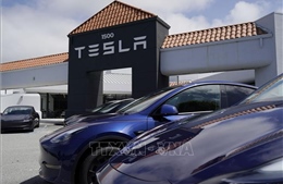 Tesla kỳ vọng vào robotaxi giữa lúc doanh số xe EV giảm mạnh
