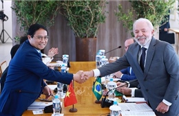 Việt Nam - Brazil tăng cường quan hệ song phương tương xứng với khuôn khổ quan hệ Đối tác chiến lược