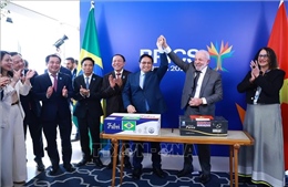 Báo chí Brazil đề cao quan hệ Đối tác chiến lược với Việt Nam