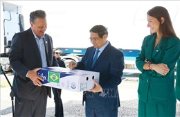 Thủ tướng Phạm Minh Chính tiếp Bộ trưởng Nông nghiệp Brazil