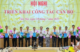 Cần Thơ phấn đấu giải ngân vốn đầu tư công đạt 100%