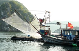 Hải Phòng khẩn trương ứng phó bão số 3