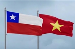 Việt Nam và Chile thúc đẩy hợp tác nghị viện