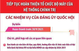 Tiếp tục hoàn thiện tổ chức bộ máy của hệ thống chính trị: Các nhiệm vụ của Đảng ủy Quốc hội