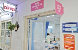 Tăng cường công tác kiểm dịch y tế, chủ động phòng, chống dịch bệnh