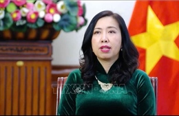 Việt Nam hoan nghênh các doanh nghiệp quốc tế có năng lực, kinh nghiệm đến đầu tư lâu dài, ổn định